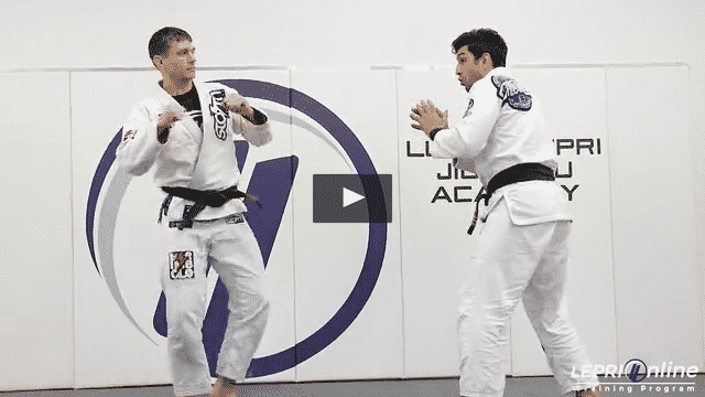 Punch Defense to Clinch to Knee Bump Takedown to Side Control