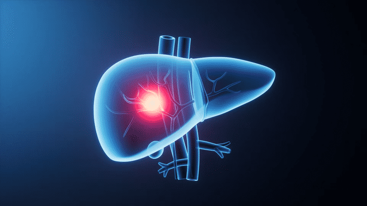3D Liver GIF