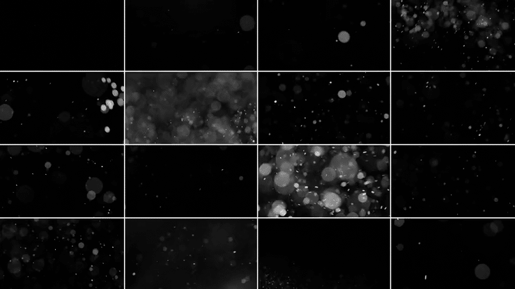 Dust Grid