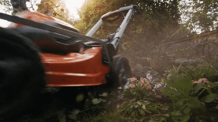 BCAA - Choretasia - GIF 1