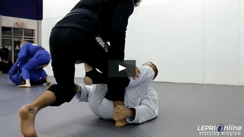 Alex & Lucas Sparring Session