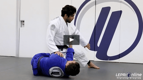 Single Leg Counter to Butterfly Sweep to Side Control or North South Position