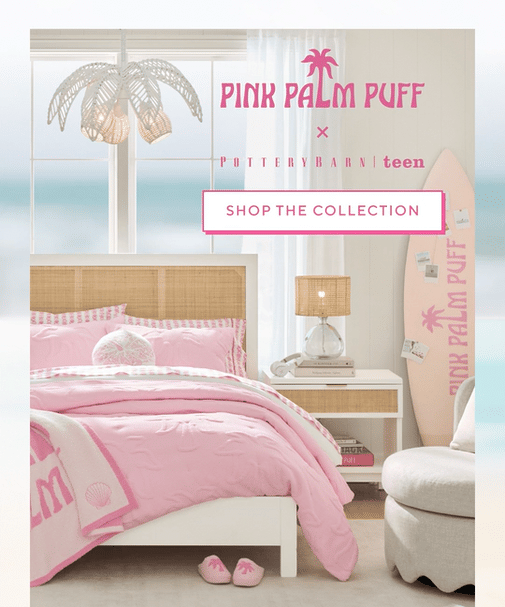 Pink palm puff x pottery barn teen