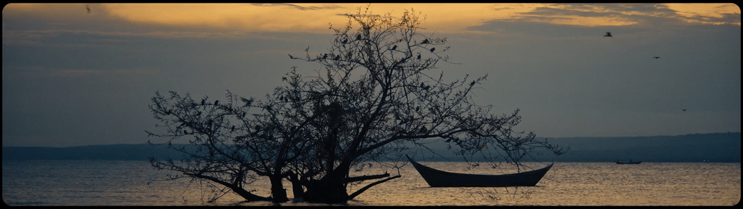 GIF Thumbnail