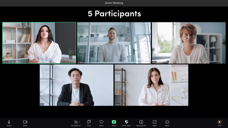 multiple participants speaking in a re-creation of a Zoom Video Call inside DaVinci Resolve