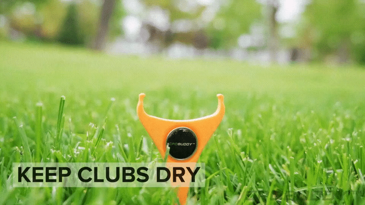 Particl Digital Vimeo GIF