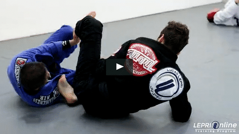 Frank & Lucas Sparring Session