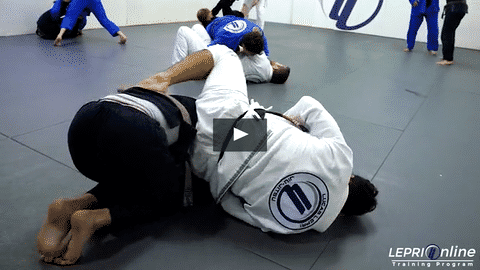 Lucas Sparring Session