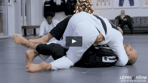 Passing the De La Riva to the Half Guard Pass to Mount Continuation