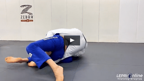 Dante & Lucas Sparring Session