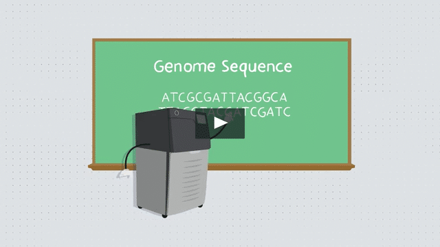 PacBio Long Read