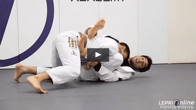Punch Defense From Closed Guard to Triangle Choke