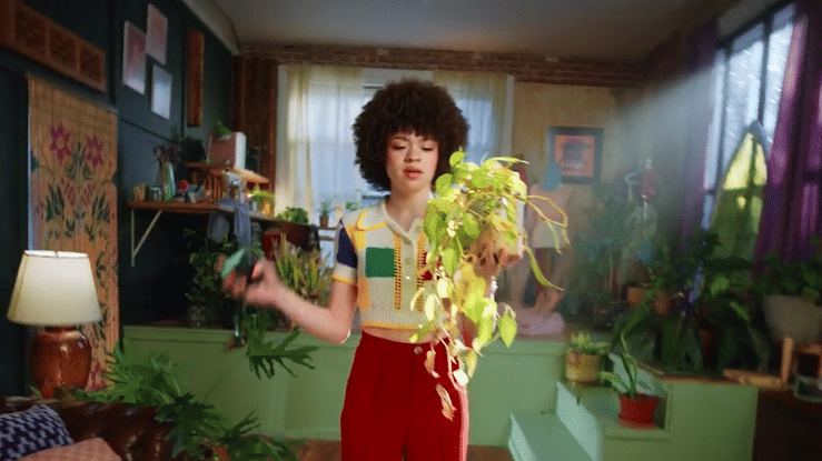 Motorola - 'House Plant' gif