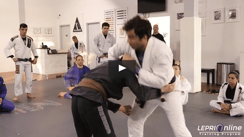 Single Leg Defense to Loop Choke Attempt to Single Leg or Ankle Pick