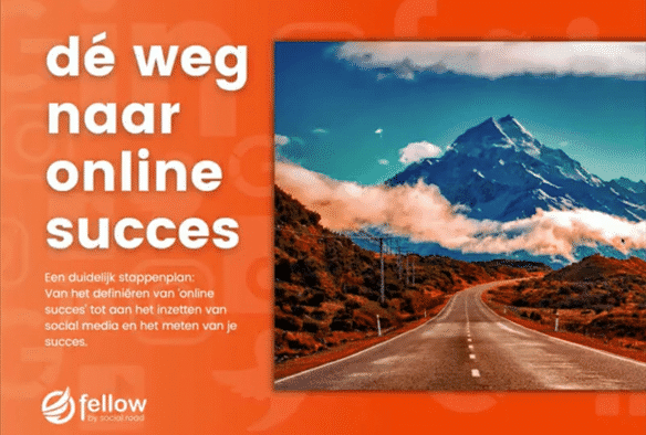 Succesvolle social media strategie in minder dan 30 dagen?