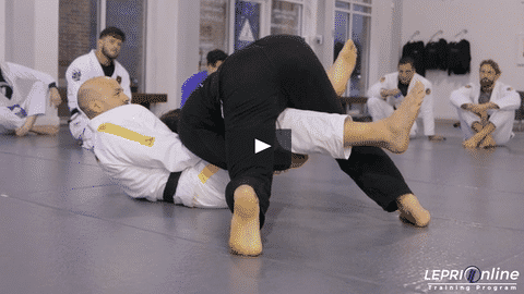 Deep Lasso Counter to Pass to Knee Bar