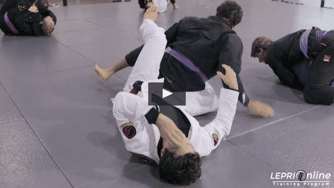 Lucas Sparring Session