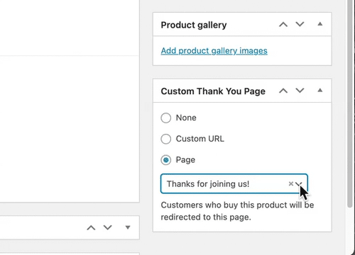 Redirect select custom page at product level