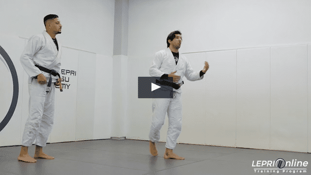 Clinch to Leg Trip Takedown to Mount, Knee On Belly or Moving Away