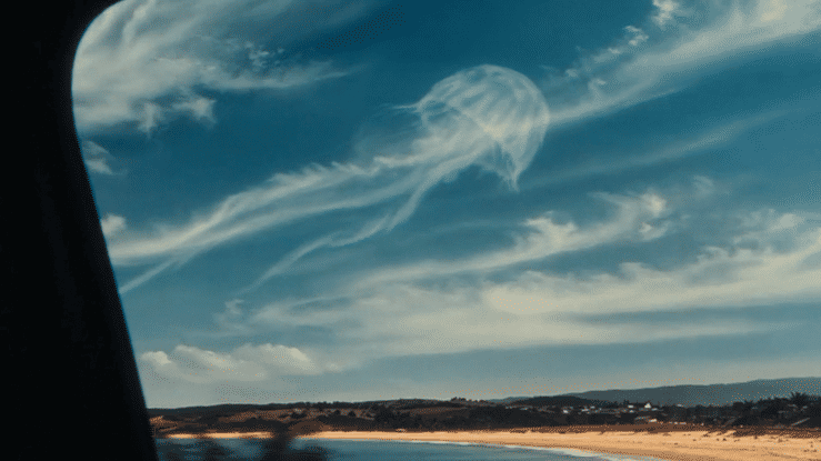 GIF Thumbnail