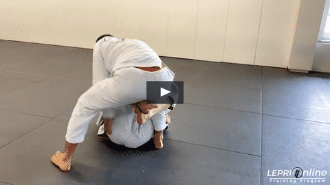 Alex Vamos & Lucas Sparring Session