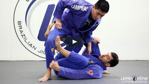 De La Riva Guard Sweep to Seatbelt Back Take