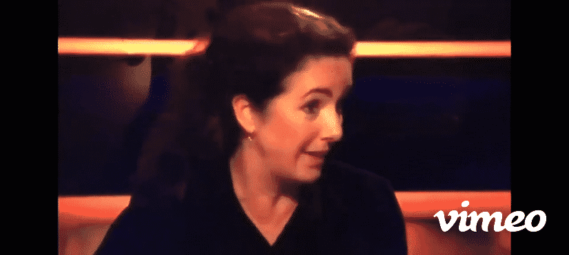 Femke Halsema over recht op demonstreren