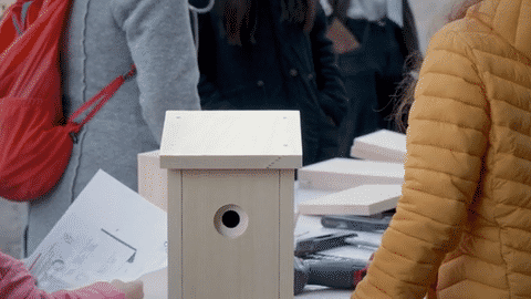 Tag des Waldes – Rückblick