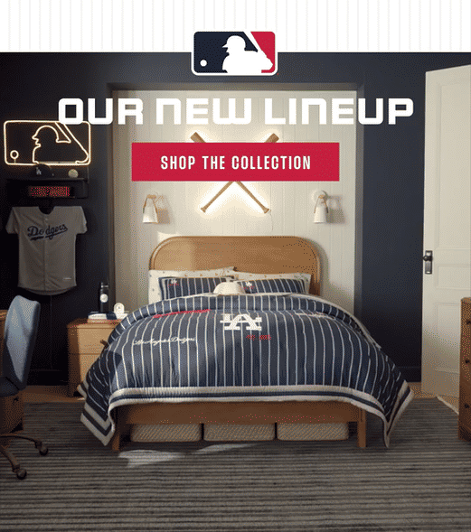 Our new lineup